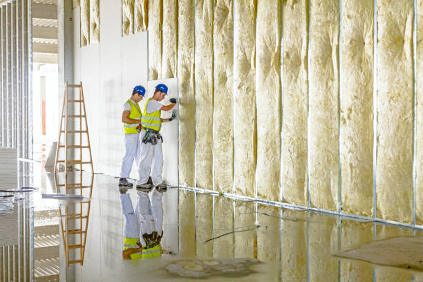 Best Types of Insulation in Kentwood, LA